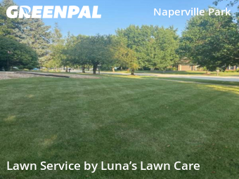 Grass Cut nearby Naperville, IL, 