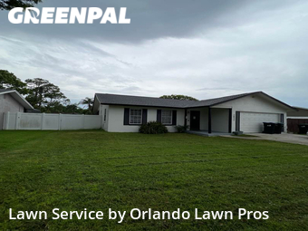 Lawn Cut nearby Union Park, FL, 