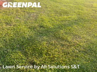 Lawn Mow nearby Haines City, FL, 