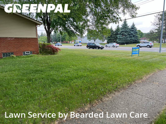 Lawn Cut nearby Westland, MI, 
