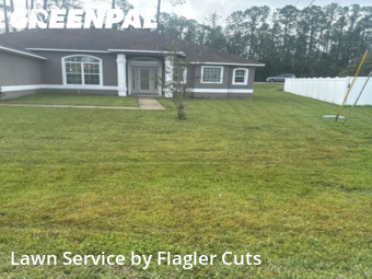 Grass Cutting nearby Palm Coast, FL, 