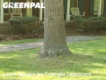 Lawn Cutting nearby Raleigh, NC, 