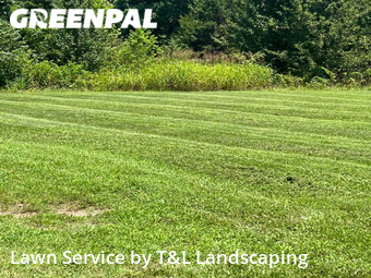 Lawn Mowing nearby Forest, VA, 