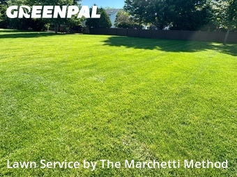 Yard Cutting nearby Aurora, IL, 