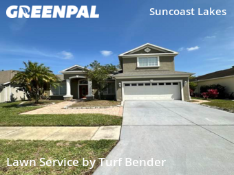 Grass Cutting nearby Land O'lakes, FL, 