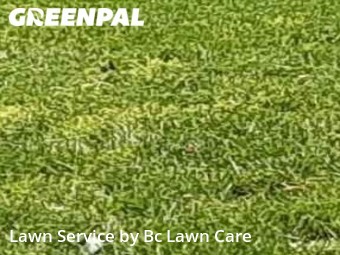 Yard Cutting nearby Knightdale, NC, 