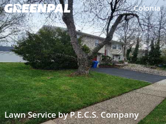 Yard Mowing nearby Woodbridge Township, NJ, 