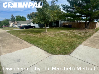 Lawn Cutting nearby Aurora, IL, 