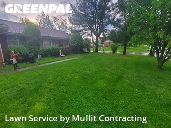 Lawn Mow nearby Lexington, KY, 