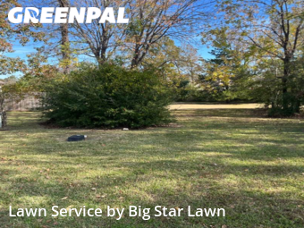 Lawn Care nearby Conroe, TX, 