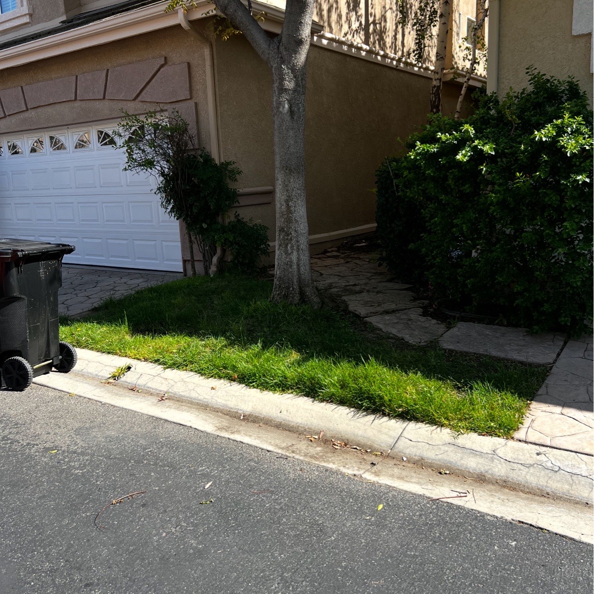 Lawn mowing work by Jp Landscaping in Santa Clarita, CA