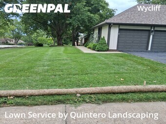 Grass Cut nearby Overland Park, MO, 