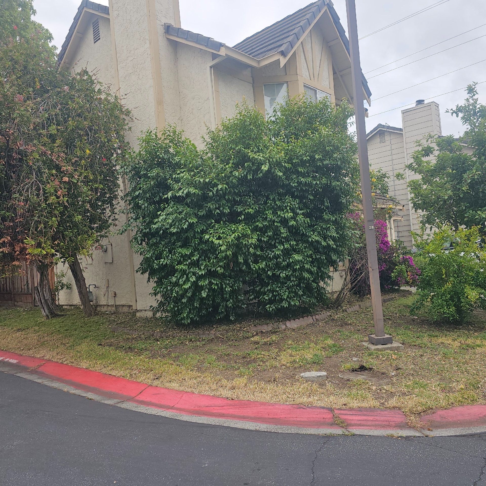 grass-cutting-businesses-in in Palo Alto, CA