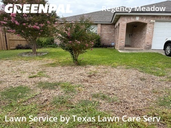 Grass Cut nearby San Antonio, TX, 