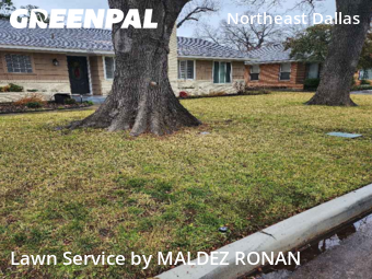 Lawn Cuttingin Dallas,75231,Grass Cutting by MALDEZ RONAN, work completed in Feb , 2026