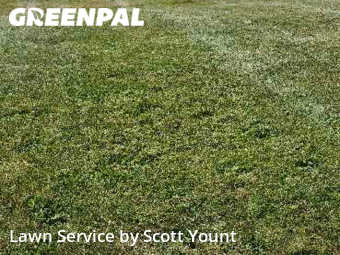 Yard Cutting nearby Freeport, IL, 