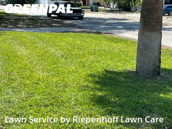 Lawn Care nearby Tampa, FL, 