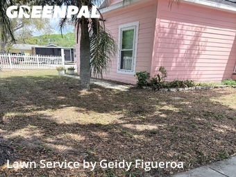 Yard Cutting nearby Palm Harbor, FL, 