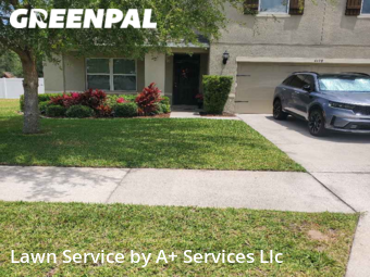 Yard Cutting nearby Spring Hill, FL, 