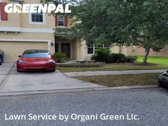 Lawn Mow nearby Tampa, FL, 