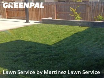 Yard Cutting nearby Elk Grove, CA, 