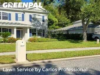 Yard Cutting nearby Oldsmar, FL, 