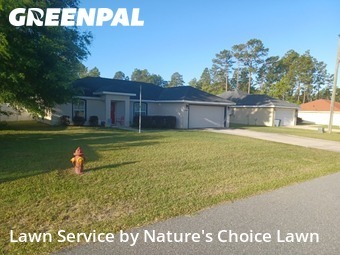 Lawn Cut nearby Ocala, FL, 