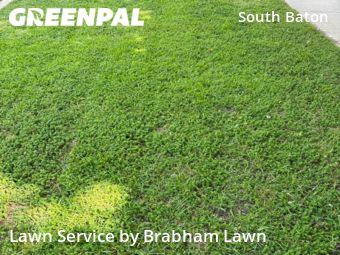 Lawn Cut nearby Baton Rouge, LA, 