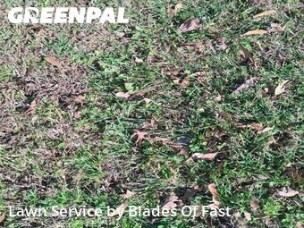 Lawn Mow nearby East Point, GA, 