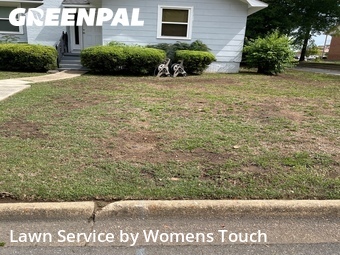 Yard Mowing nearby Tuscaloosa, AL, 