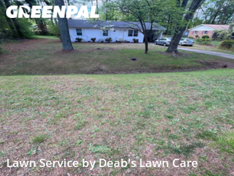 Grass Cutting nearby Browns Summit, NC, 