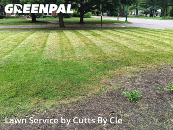 Lawn Maintenance nearby Toledo, OH, 