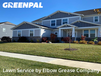 Grass Cut nearby Zionsville, IN, 