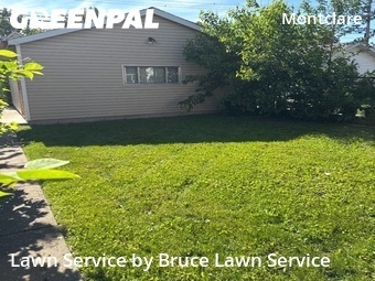 Lawn Cutting nearby Chicago, IL, 