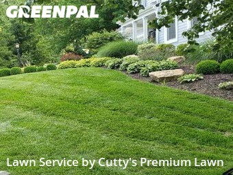 Grass Cutting nearby Kansas City, MO, 