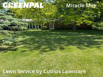 Yard Cutting nearby Springfield, OH, 