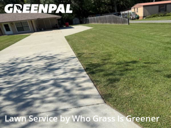 Lawn Care nearby Saint Amant, LA, 