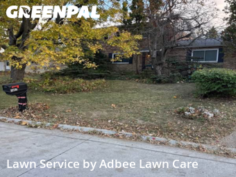 Grass Services in Champaign, 61821, Yard Services by Adbee Lawn Care, work completed in Nov , 2025