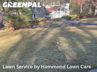Lawn Mow nearby Roswell, GA, 