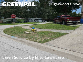 Lawn Mowing nearby Tampa, FL, 