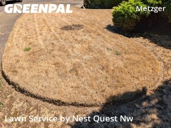 Yard Maintenance in Tigard, 97224, Yard Maintenance by Nest Quest Nw, work completed in Oct , 2025