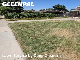 Lawn mowed in Sandy, 84094