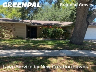 Lawn Cutting nearby Seffner, FL, 