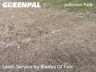 Lawn Cut nearby Atlanta, GA, 