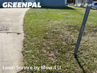 Grass Cutting nearby Tallahassee, FL, 