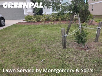 Lawn Cutting nearby Lakeland, FL, 