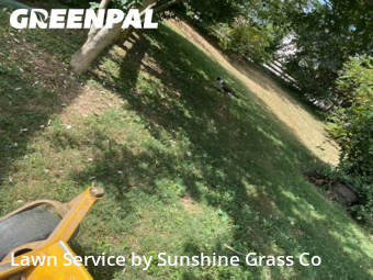 Lawn Cut nearby Sellersburg, IN, 