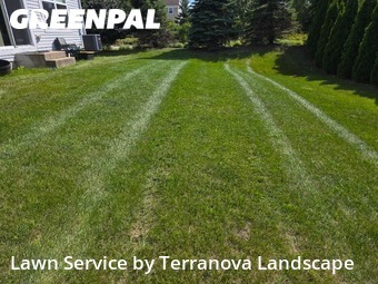 Grass Services in Lisle, 60532, Lawn Maintenance by Terranova Landscape, work completed in Nov , 2025