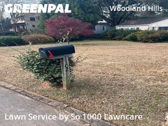 Lawn Mowing nearby Atlanta, GA, 