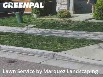 Yard Cutting nearby Lathrop, CA, 